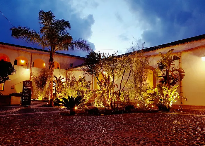 Momentum Wellness Bio Resort